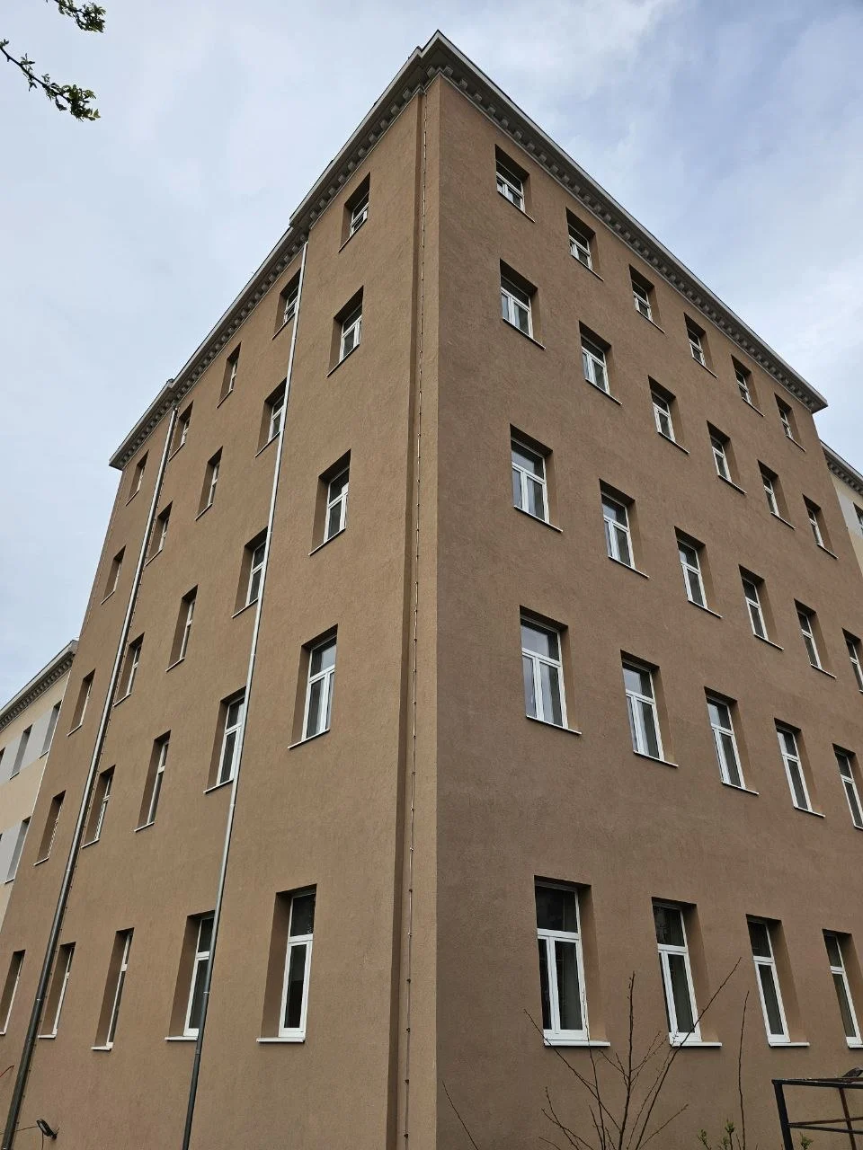 Rojc Pula Lekoplast 8